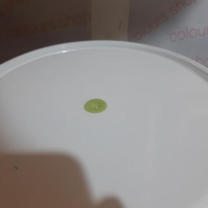 CAT TEMBOK GOTHIC WARNA HIJAU PUPUS 737 ISI 4,5KG