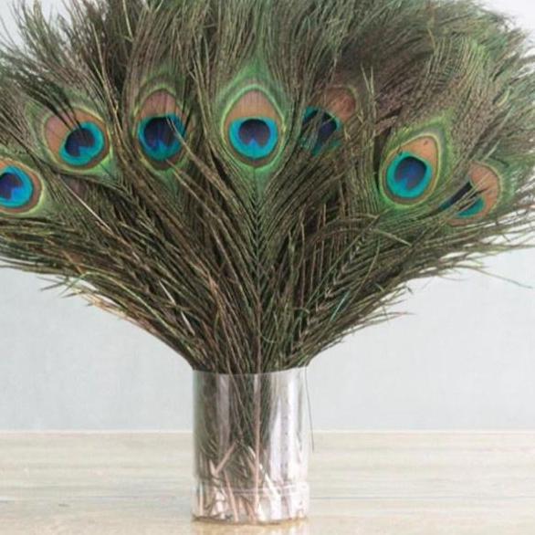 Triple W Dummy Fake Peacock Feather Bulu Burung Merak Dekorasi Foto Hiasan