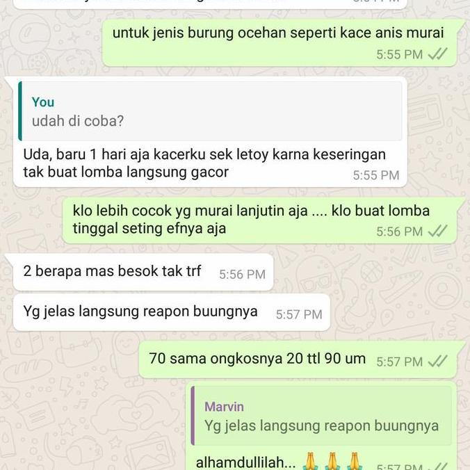 Dbutsu- Voer Vien Murai Batu Pakan Protein Tinggi