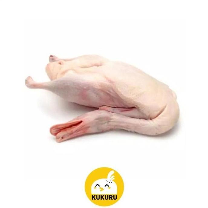 BEBEK HIBRIDA UTUH / HYBRID DUCK (PERSILANGAN BEBEK LOKAL DAN PEKING)