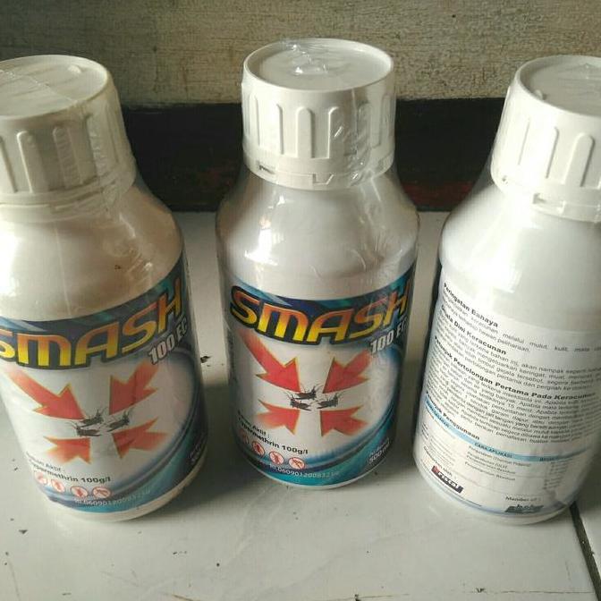 TERLARIS - Obat Fogging SMASH 100 Obat Nyamuk DBD