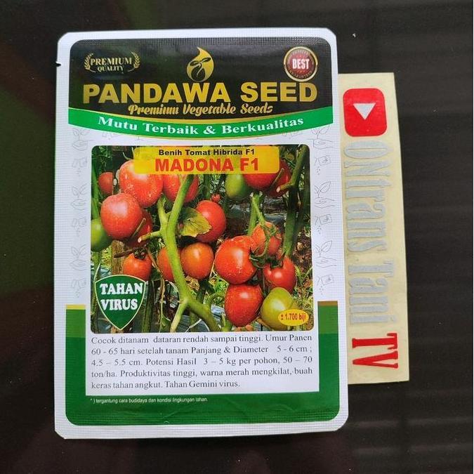 Benih Tomat Hibrida MADONA F1 tahan virus gemini KUN