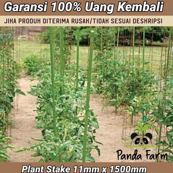 Ajir / Penyangga Tanaman Takiron Plant Stake 11 x 1500 mm