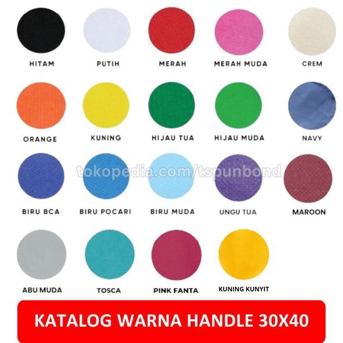 Picnpic- Tas Promosi Spunbond Handle Ukuran 30X40 Lusinan - Warna Biru Muda Goodie Kantong