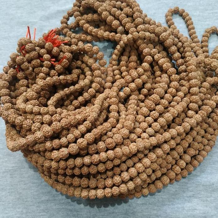 KALUNG JENITRI RUDRAKSHA BIJI JENITRI