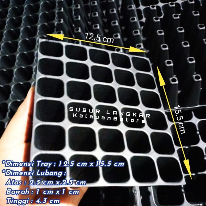 Promo Cod Tray Semai Benih 25 Lubang ...