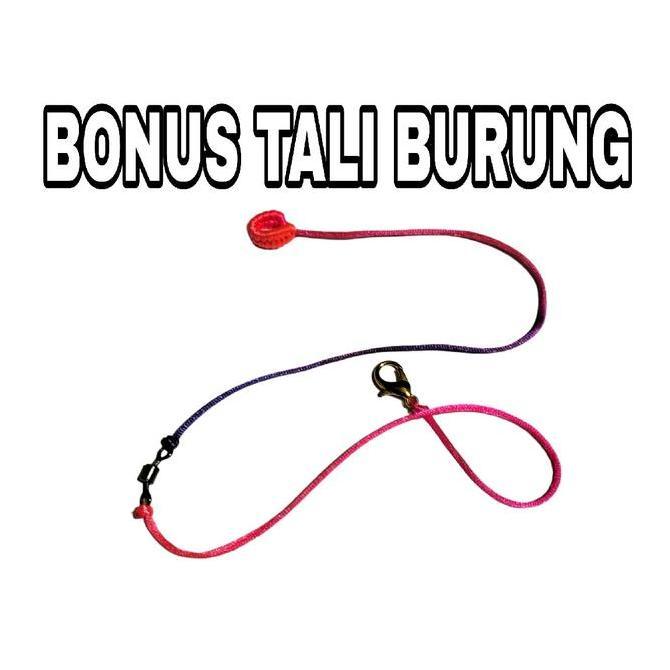 SANGKAR LAYANG BURUNG KUTILANG