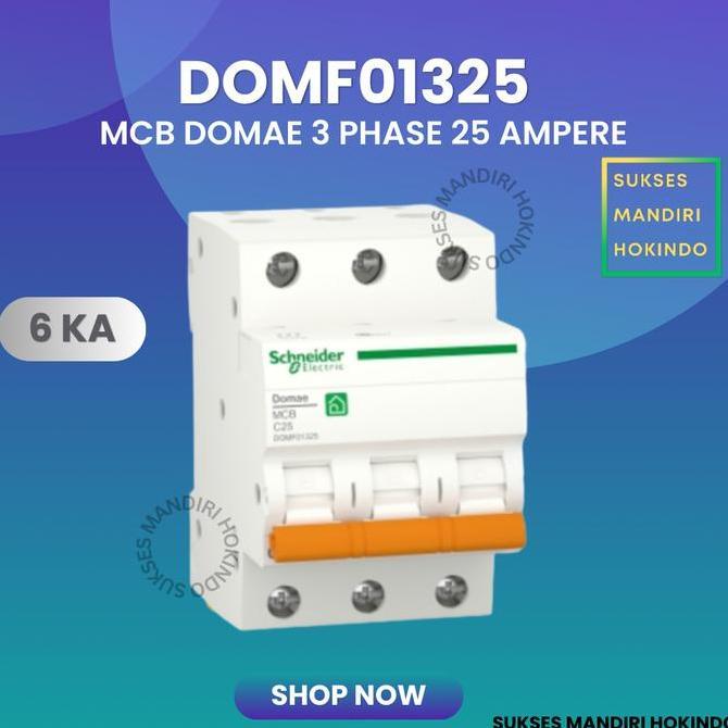 Promo Mcb 3 Phase 25 Ampere 3P 25A 3Pole Schneider Domae Baru 6Ka Ori Sni Cod