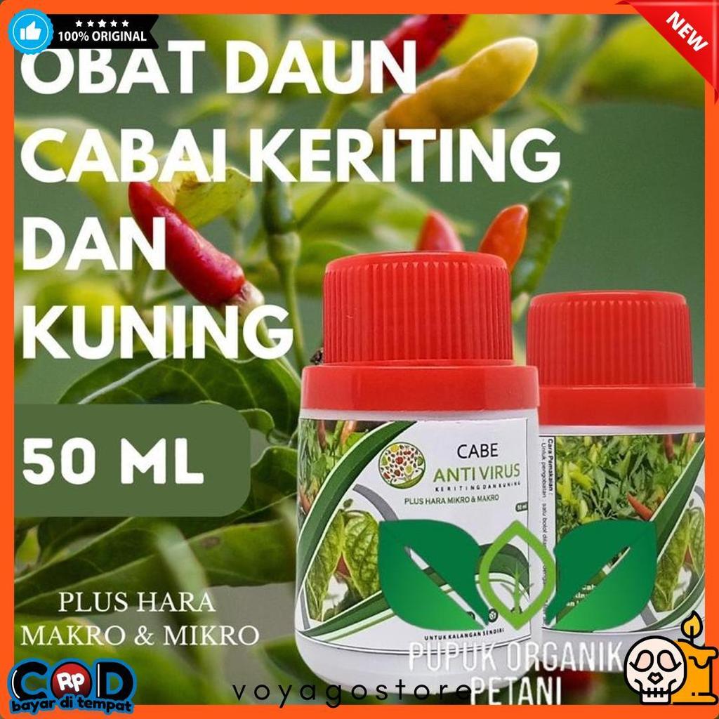 Cusss Serbu Pupuk Organik Cabai Anti Virus Keriting Obat Daun Menguning Cabe Atasi Daun Kuning Dan K