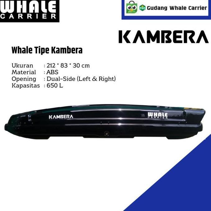 N Roof Box Whale Carrier Kambera 650 L