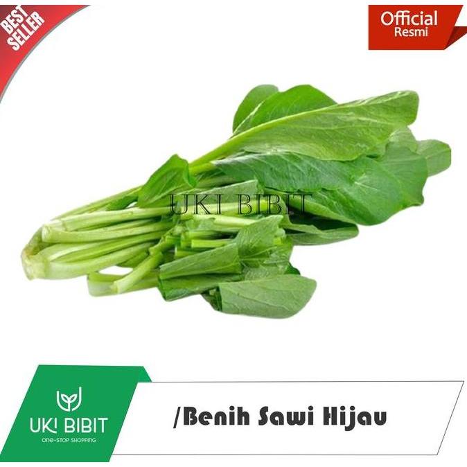 Terlaris ( 1 Kg ) Benih Biji Sawi Hijau Lokal | Sawi Hijau