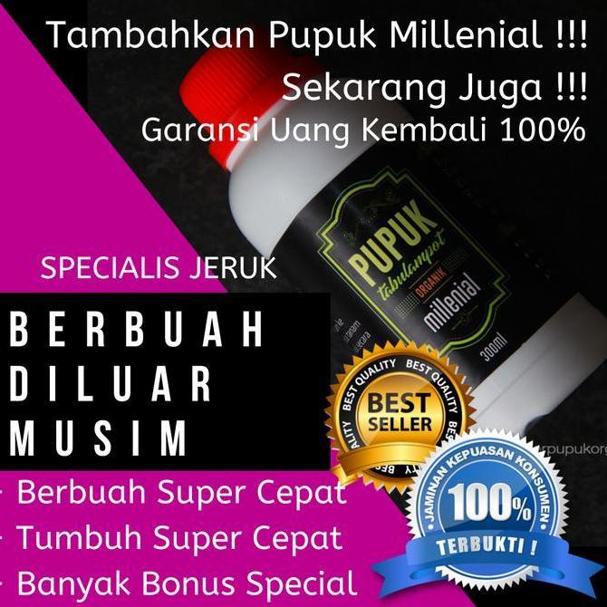 Terlaris Pupuk Pohon Jeruk Nipis, Pupuk Jeruk Nipis Agar Cepat Berbuah,Xxx