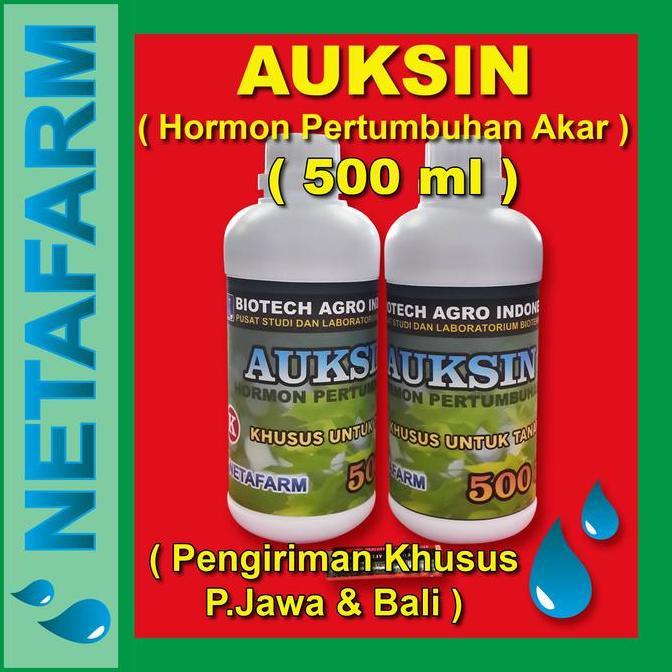 Terlaris Hormon Auksin - 500Ml