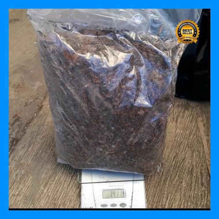 (Promo) Humus Bambu Media Tanam Daun Bambu, Kompos Organik Humus Akar Tanaman Tanah Bestseller