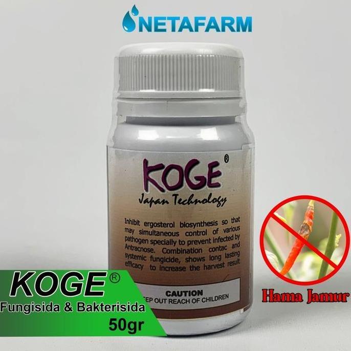 Fungisida Bakterisida KOGE Obat Anti Busuk Cabe - 50gr