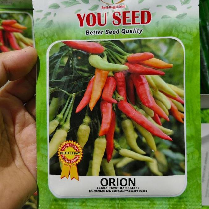 Benih Cabe Orion 10 Gram Cabai Rawit Putih Berdompol Berangkai You Seed Rawet Setan Hijau Merah