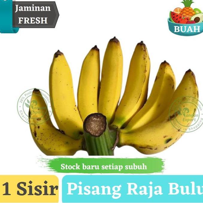 Ready Pisang Raja Bulu , Pisang Raja Fresh