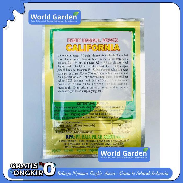 BENIH PEPAYA CALIFORNIA MERK RAJA SEED PRODUK TERBAIK