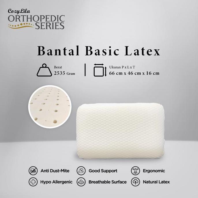 Bantal Orthopedic Bsc Latex