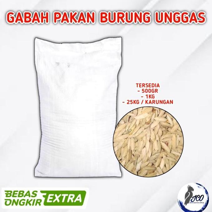 TERBARU GABAH PAKAN BURUNG AYAM GABAH MERAH KILOAN PAKAN AYAM GABAH MERAH BISA GRAB