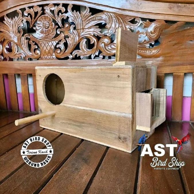 BEBAS ONGKIR - Glodok jalak bali jalak hongkong penempatan kanan