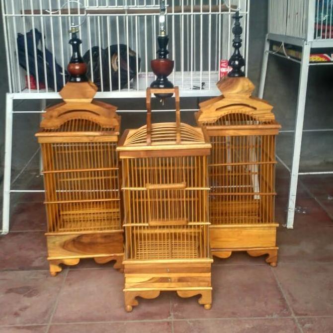 BEBAS ONGKIR - Kandang burung Pleci pernisan kayu jati