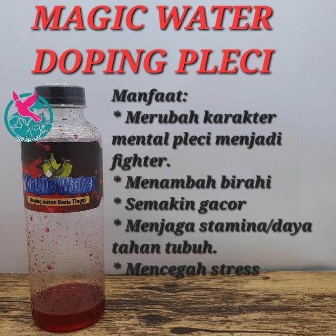 MAGIC WATER DOPING PLECI KONSLET BACOT GACOR BURUNG PEMAKAN BUAH SOGON KONIN