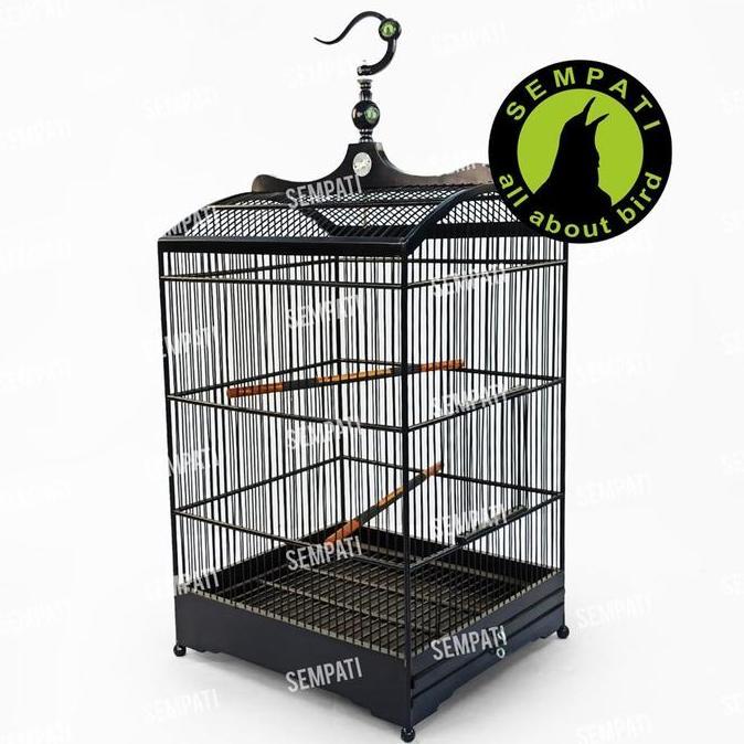 Sempati Tangkringan Sangkar Burung Kacer Poksay Kenari Kayu Jati Aktif