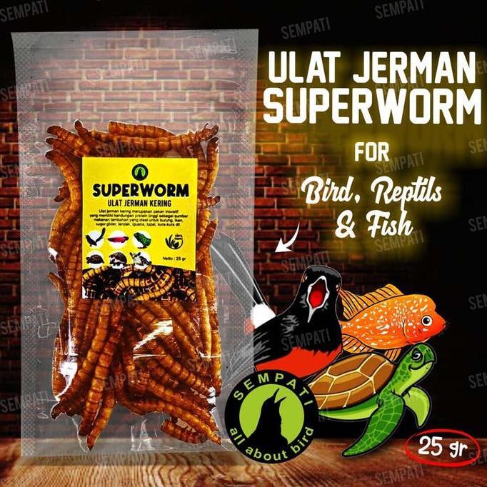 SEMPATI Superworm Super Worm Ulat Jerman Kering Pakan Extra Fooding EF Burung Murai Kacer Cendet Mak