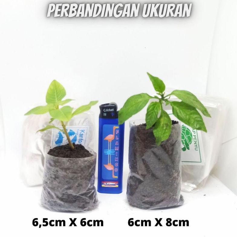 Bisa Cod Plastik Polybag Polibag Polibeg Semai Bibit Benih Polibag Kecil Pp 6X7 6X8 Isi 1000 Lembar 