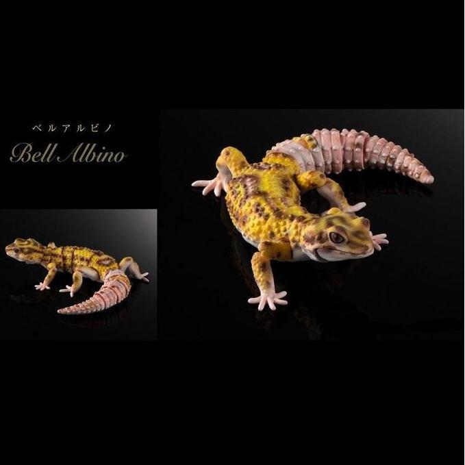 [Bandai] Gashapon Premium Advance Leopard Gecko - Bell Albino