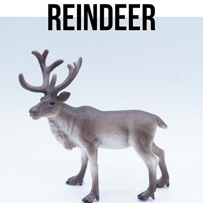 KORI Reindeer Karibu Rusa Caribou Rangifer Tarandus Mainan Figure Binatang Miniature Hewan Animal Fi