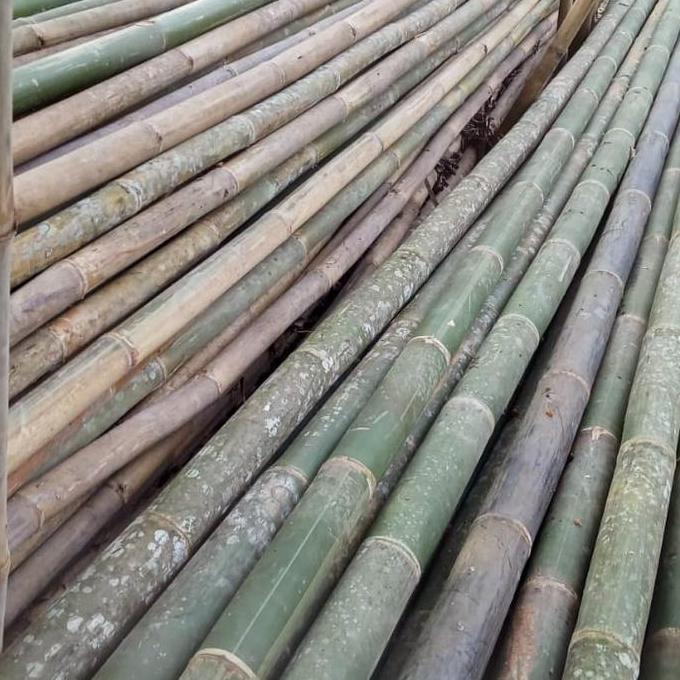 Tongkat Pramuka Bambu