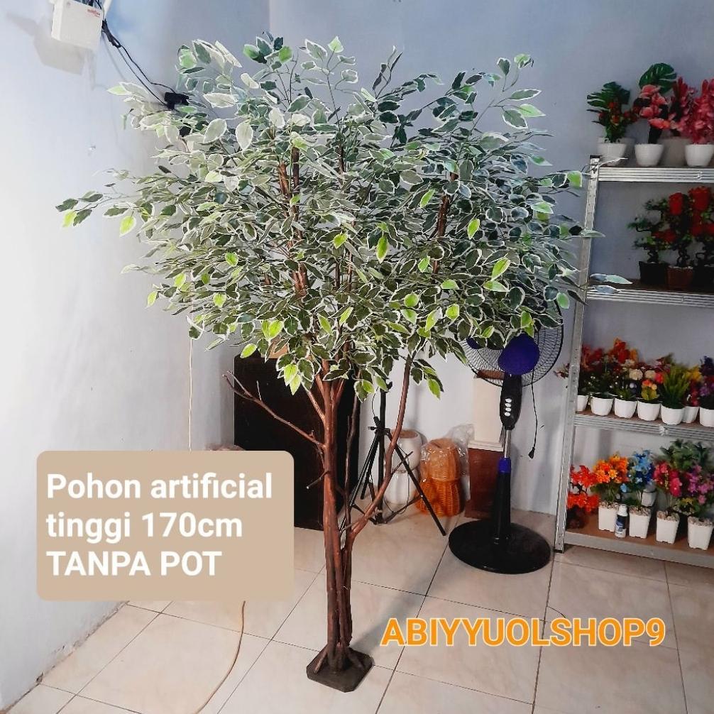 NEW ARRIVAL Tanaman Hias Artificial Beringin Varigata BERCABANG TANPA POT | Pohon Hias Artificial Ri