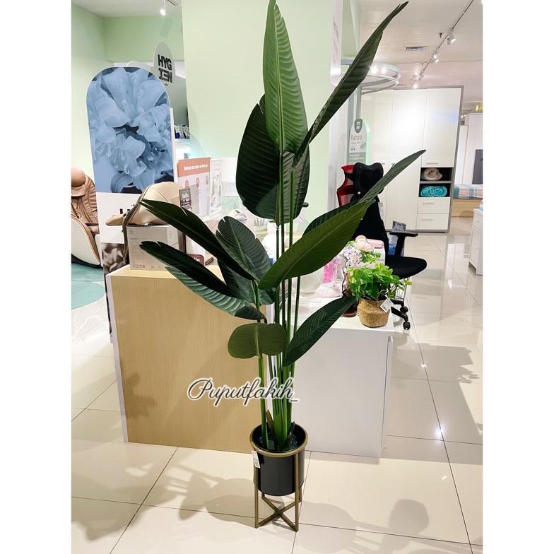 Pohon Pisang informa 160cm / Pohon Hias Palsu / Artificial Plant