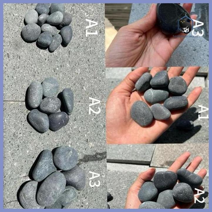 BATU KORAL HITAM BENGKULU HIASAN TAMAN KERING TAMAN TANAMANA BIBIT PEKARANGAN HIASAN BUAH BUNGA