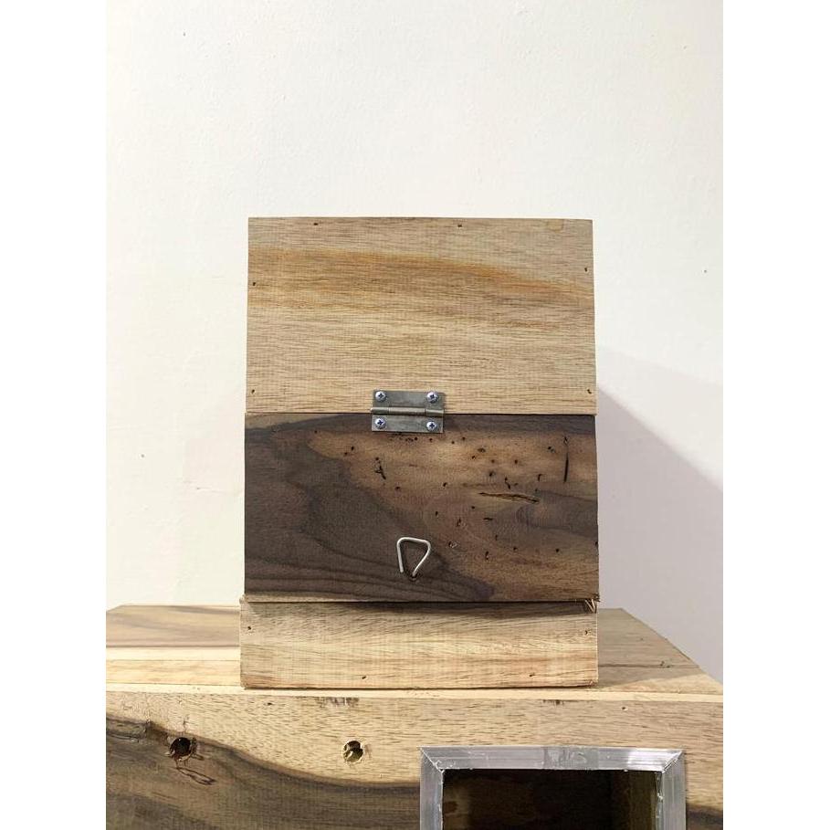 GLODOK MURAI KOTAK  SARANG BURUNG KICAU MURAI BATU KACER DLL