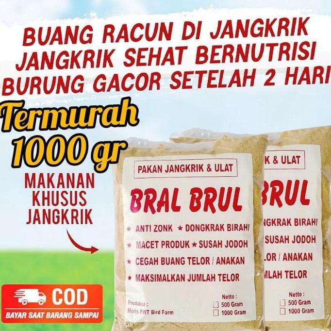 RALPH Bral Brul Pakan burung murai Kacer cucak anis