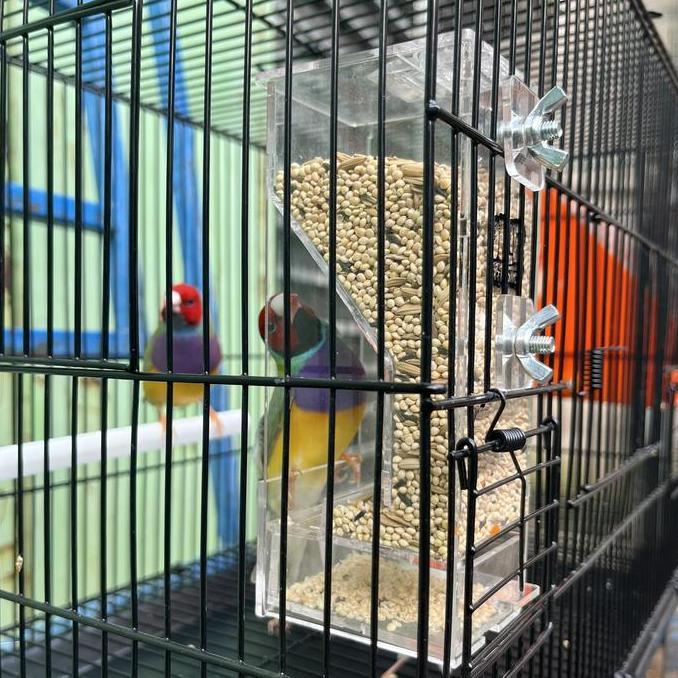 Dispenser Pakan Burung Finch Gould Amadine Kenari Emprit Jepang Gelatik Perkutut dll