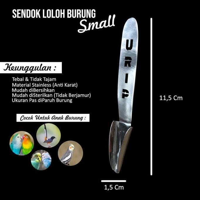 SENDOK LOLOH ANAK BURUNG KICAU PARUH BENGKOK BEO