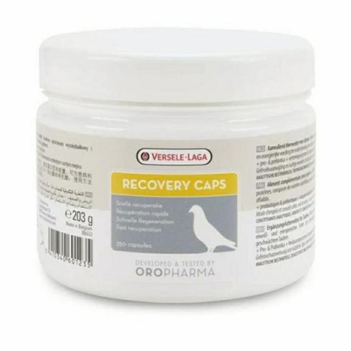 Recovery Caps 350 Capsule Recovery Sakit/Kelelahan Penerbangan Merpati