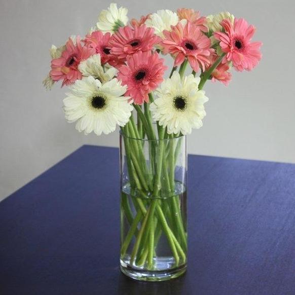 Grofwall - Fresh Cut Gerbera 1 Tangkai Bunga Potong Segar