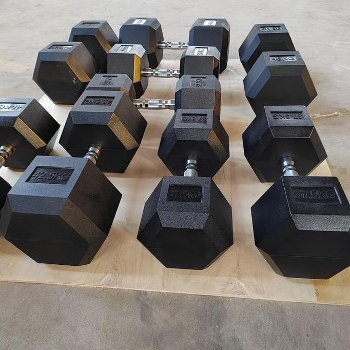 Dumbbell set peralatan fitness hexagonal dumbell 10kg