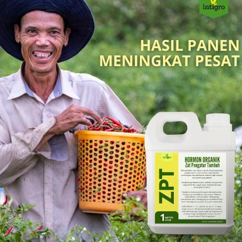 Promo Cod Pupuk Zpt Pertumbuhan / Pupuk Zpt Pelebat Buah / Pupuk Hormon Buah Dan Bunga / Pupuk Zpt L