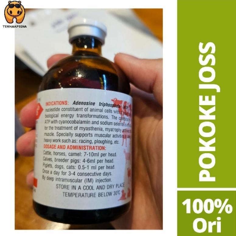 Bio Atp Plus 100 Ml Bio Atp Solusi Energi Instan Bio Atp Ternak