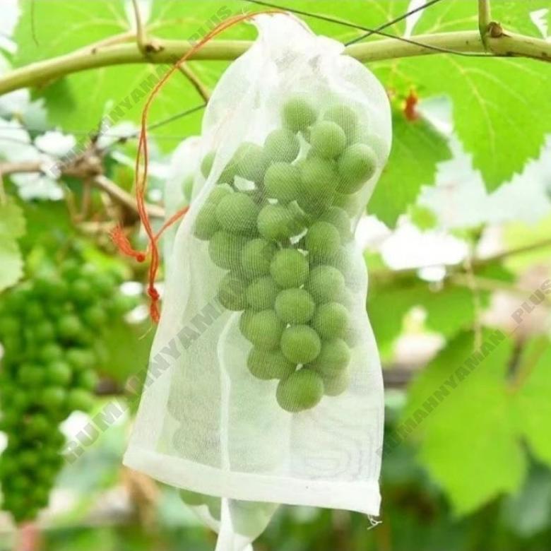 Promo Cod Fruit Cover 100Pcs /Pembungkus Buah /Kantong Pembungkus Buah Jambu Air Fruit Cover Fruit C