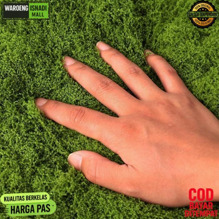 Terbaru 100G Rumput Sintetis Aquascape Aquarium/Rumput Sintetis Karpet Dasar Aquarium/Tawetan Tahan 