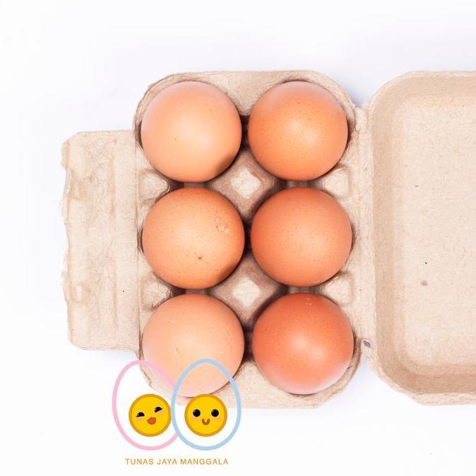 Terlaris Paper Egg / Tray Egg Kertas 6 Lubang Sudah Ada Pengunci