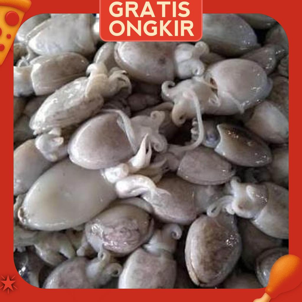 Cumi Sotong (Blekutak) 1Kg