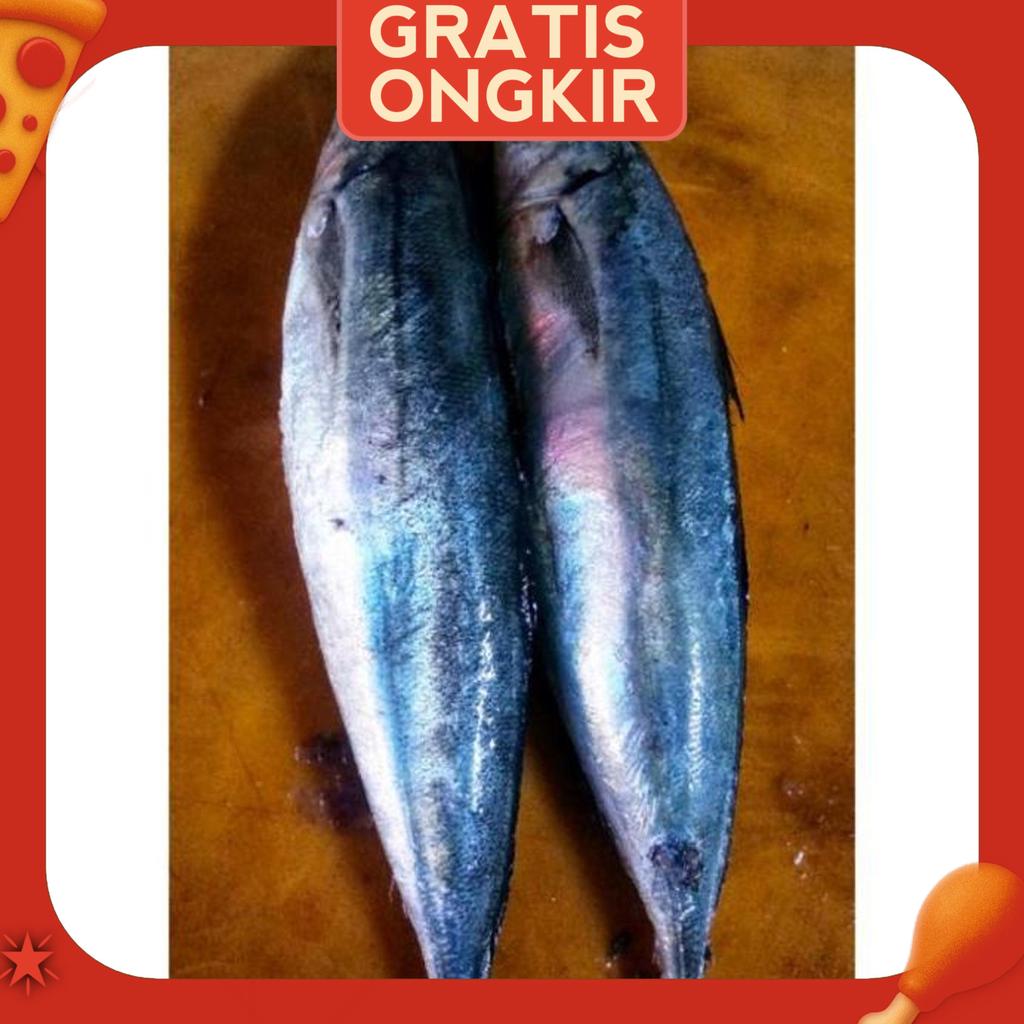 Ikan Layang Cue Segar 1Kg